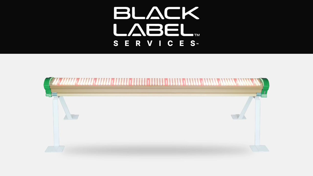 BLACK LABEL Services - under canopy lighting