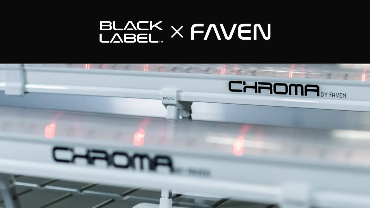 BLACK LABEL x FAVEN collaboration - Chroma under-canopy lighting