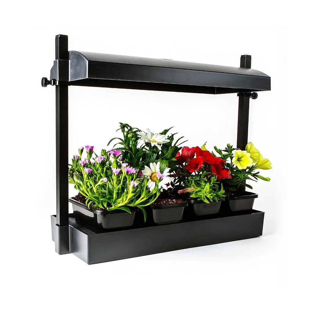 Micro Grow Light Garden Black (1/ea) - Black Label Supply llc