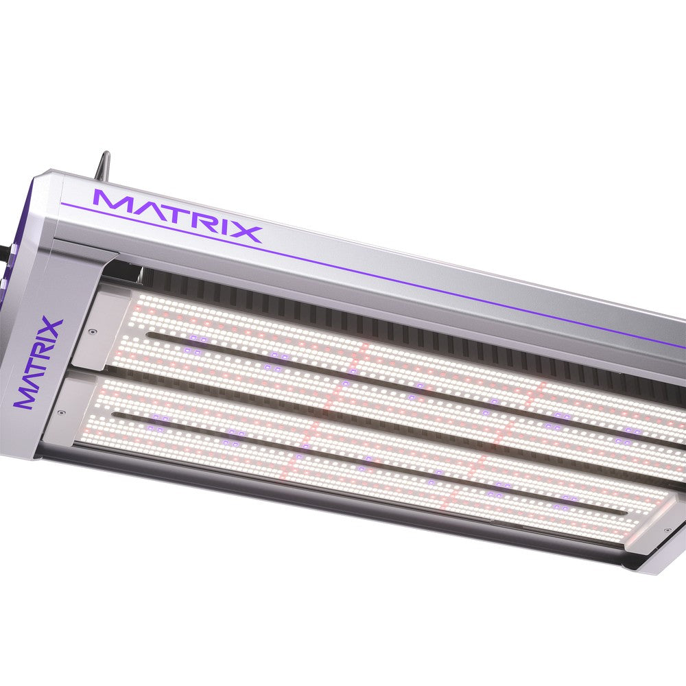 Matrix VEGA Dyna Series LED – LED - Top Light