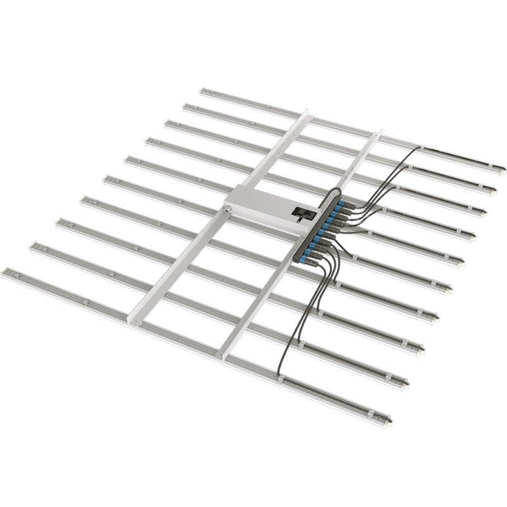 SpecGrade LED Flora - 10 - Black Label Supply llc