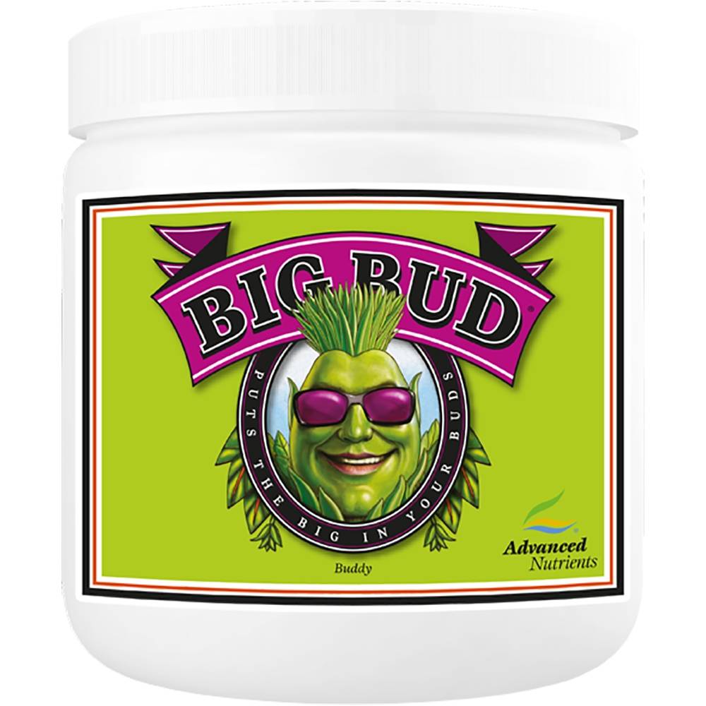 Big Bud Powder 20.0 Kg