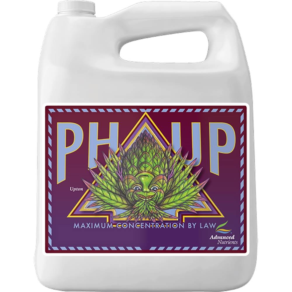 pH-Up 4 L