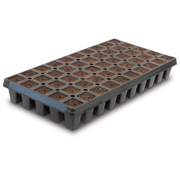 ihort 50 Cell Deep Excel Plug Tray (5 Trays/250 Plugs Per Case | 200 Trays/10000 Plugs Per Pallet)