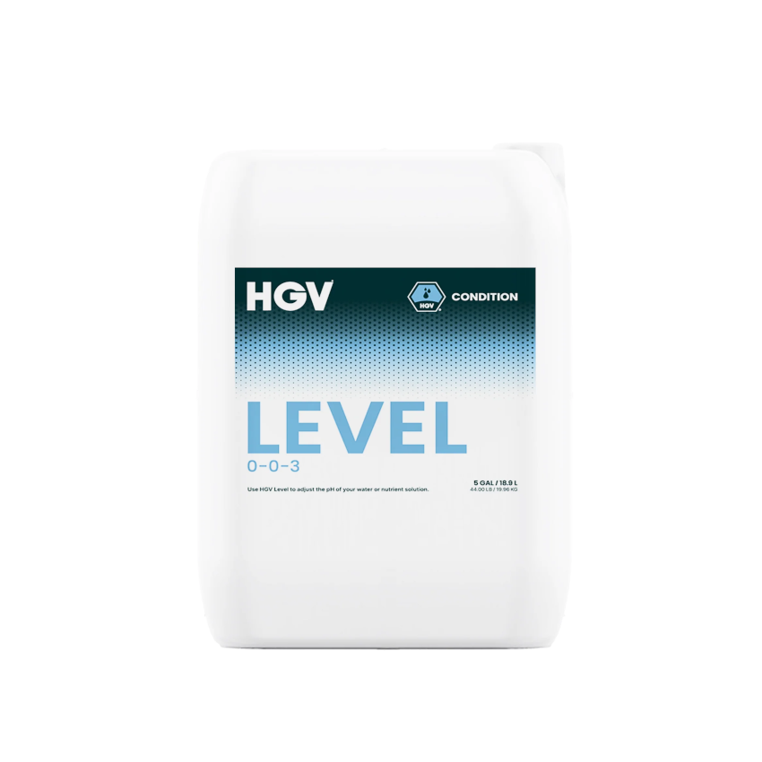 HGV Condition - Level