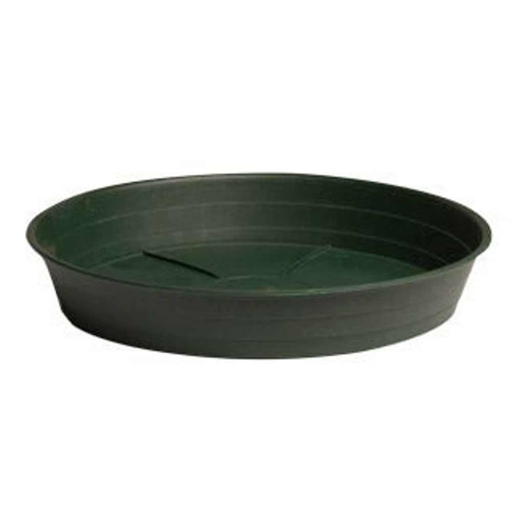 Green Premium Saucers - Black Label Supply llc
