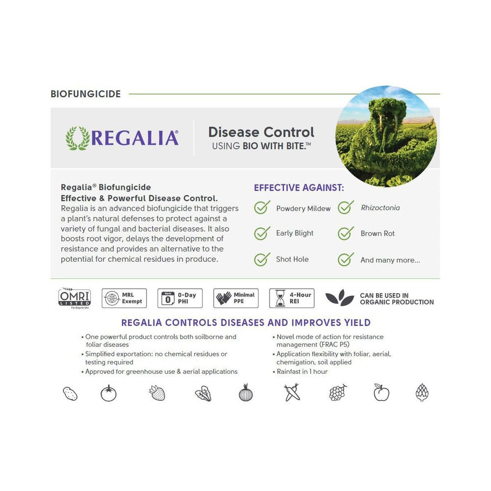 Regalia CG - Black Label Supply llc