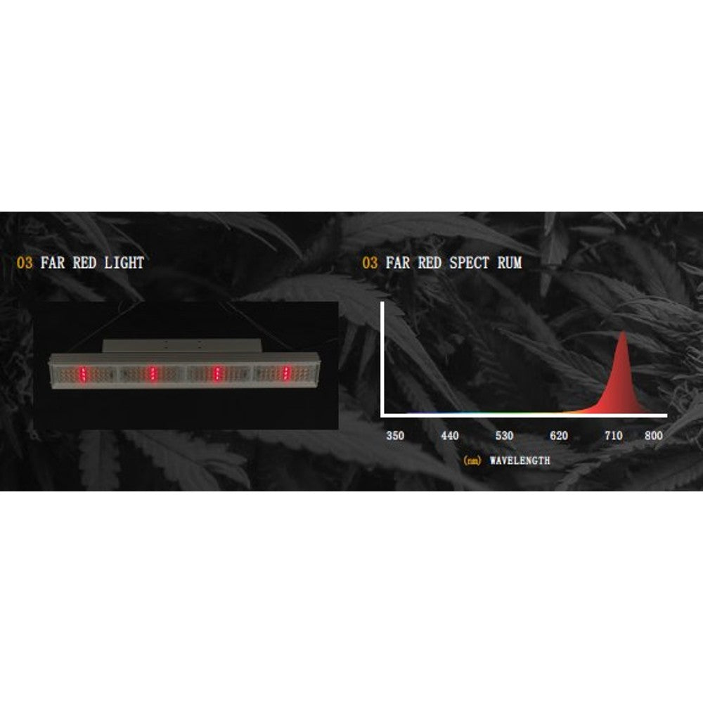 EST GH001 Pro - Black Label Supply llc