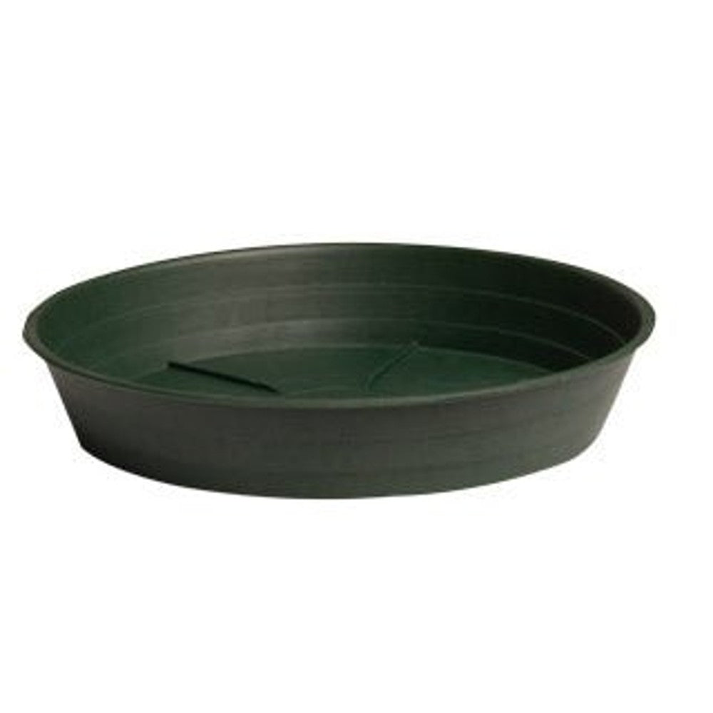 Green Premium Saucers - Black Label Supply llc