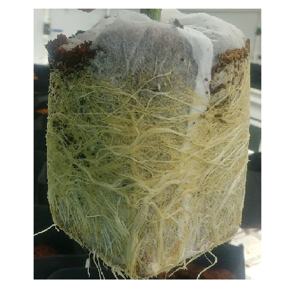 HortGrow - SmartEra™ Grow Cube - 4in x 4in x 4in - Mesh Wrap - Coco Pith, Chips and Fiber