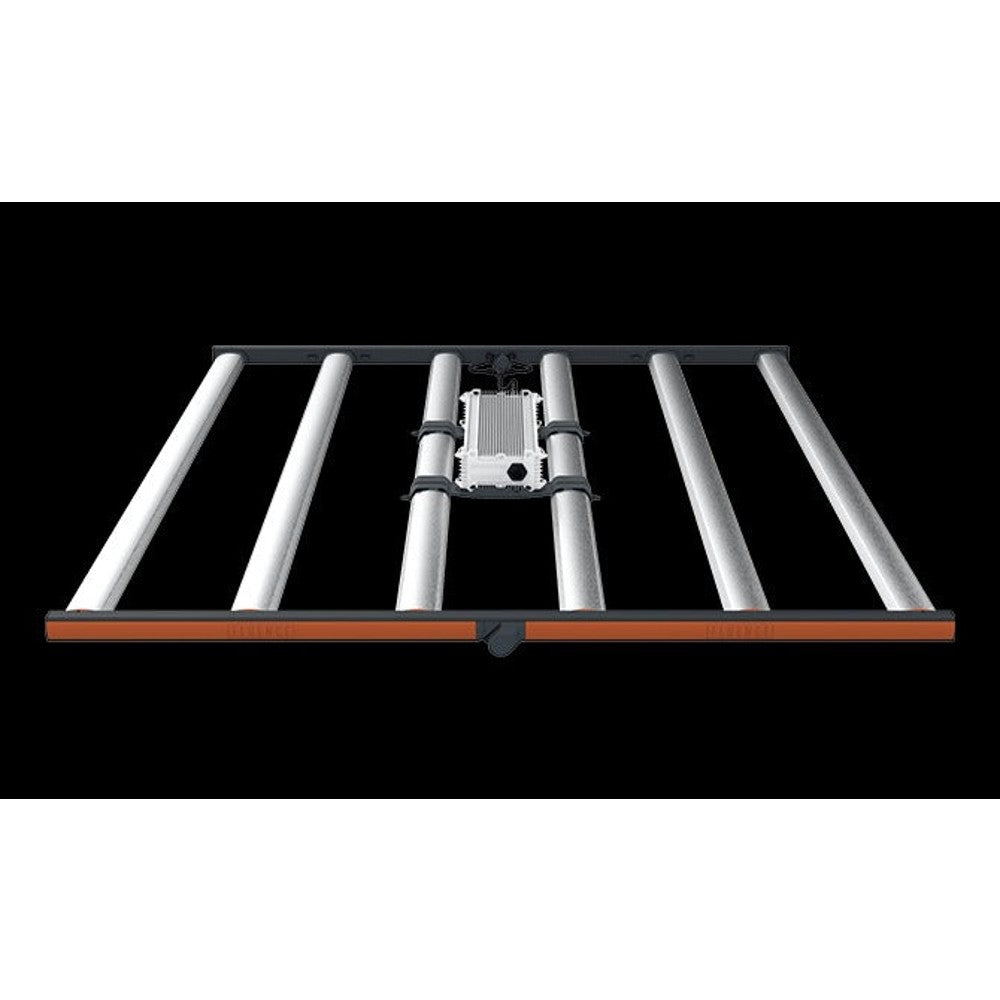 Fluence SPYDR FANG LED – LED - Bar Style
