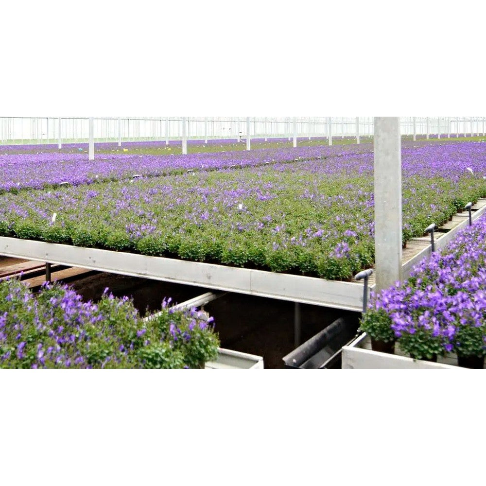 Staal Plast Cultivation Tables & Liners (Custom Priced After Order) – Commercial Racking & Benching