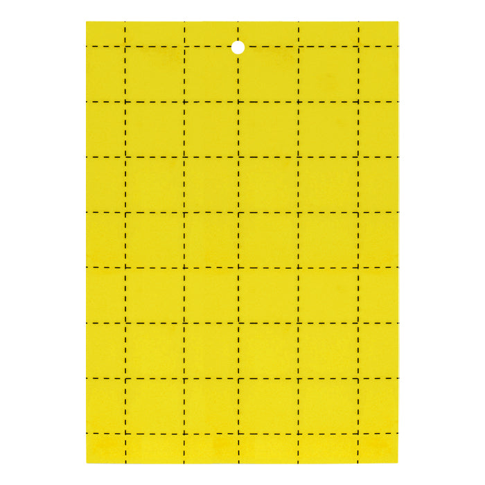5x8 10pk Yellow