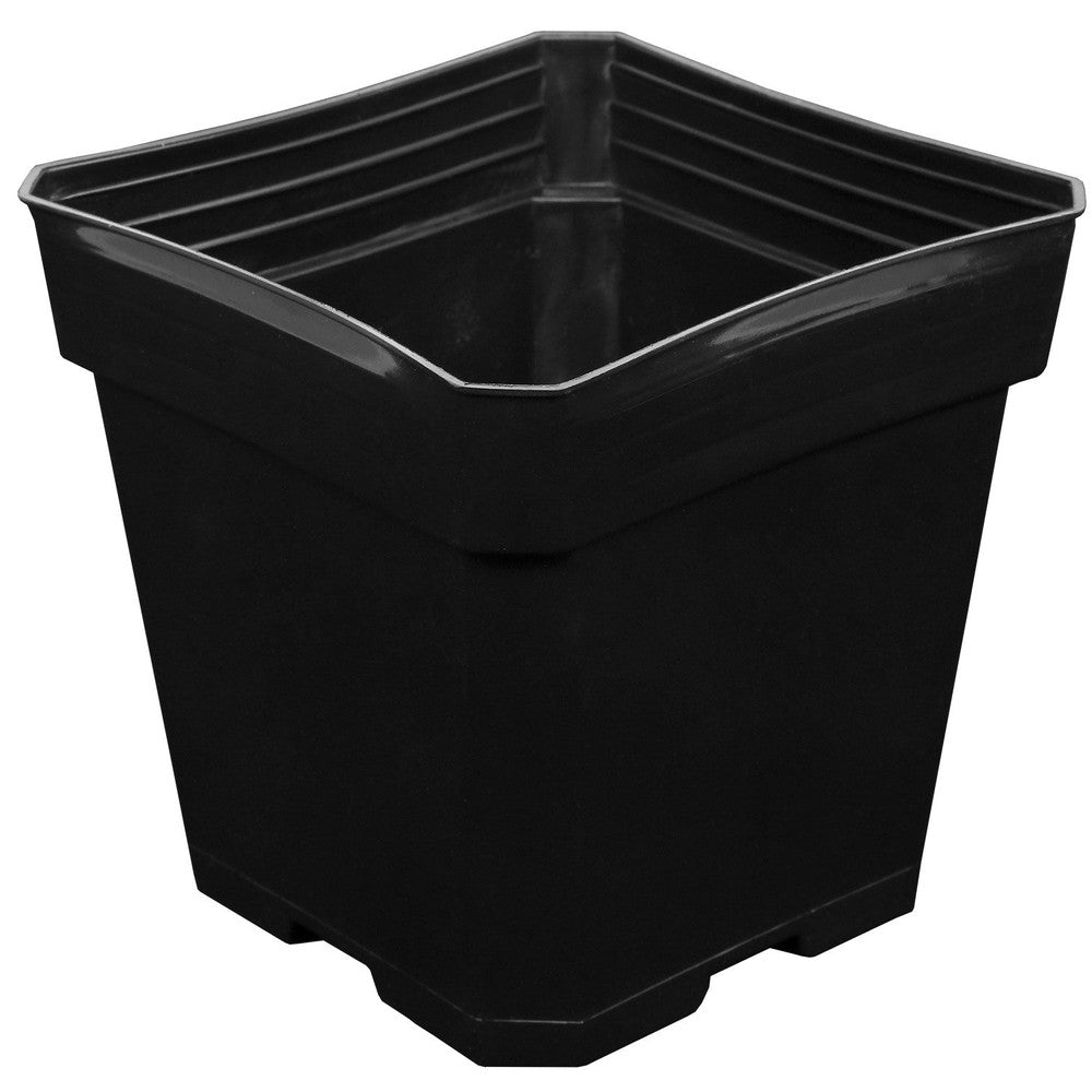 Gro Pro 5.5in x 5.5in x 5.75in Plastic Pot Black (200/CS)