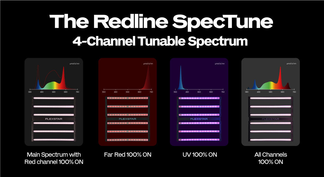 Flexstar Redline SpecTune 1000W