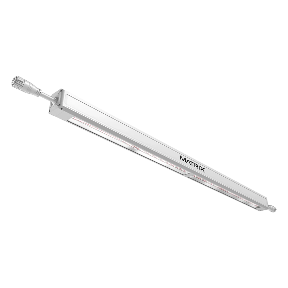 Matrix Linear Toplight