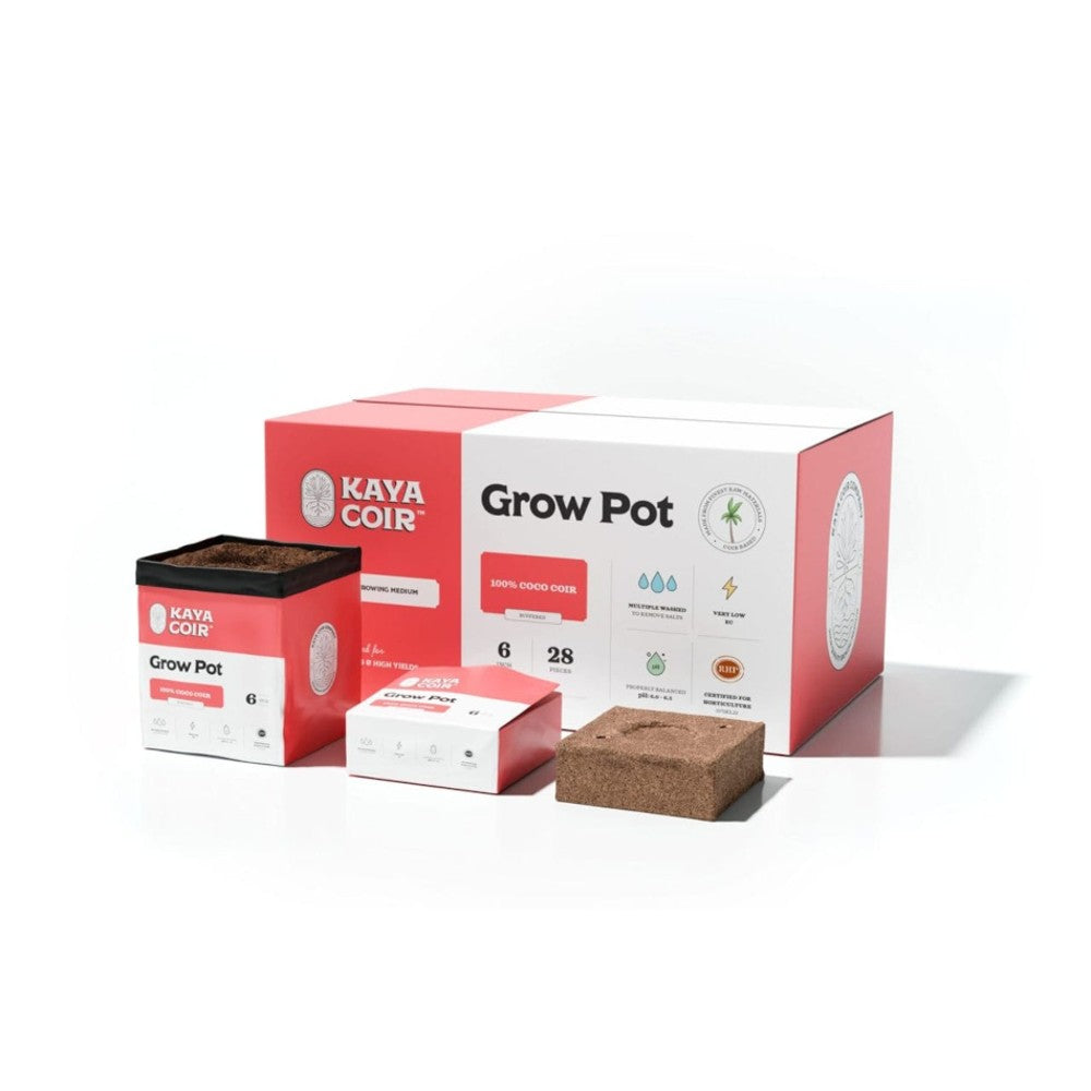 Kaya Coco Grow Open Top – Single