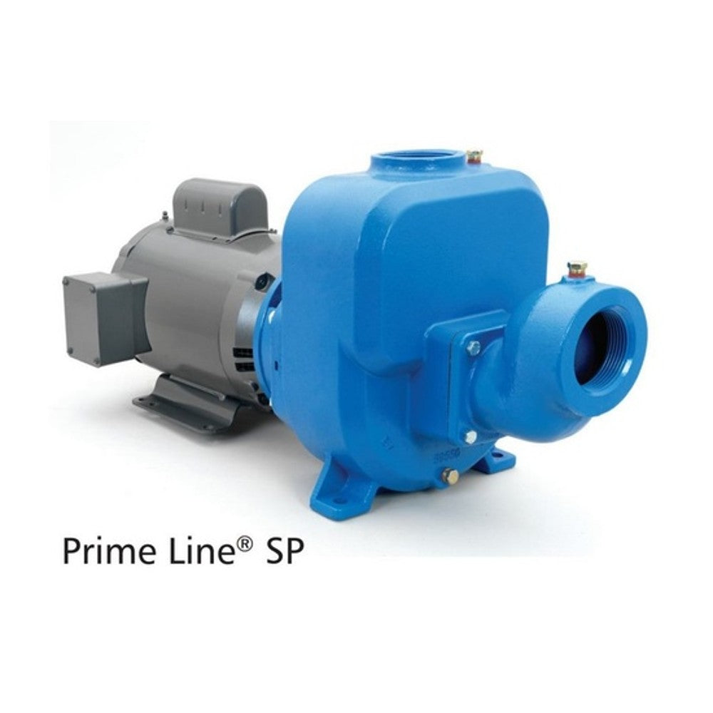 Goulds Pump Model 50SPM10 SP Series – Diaphragm Pump
