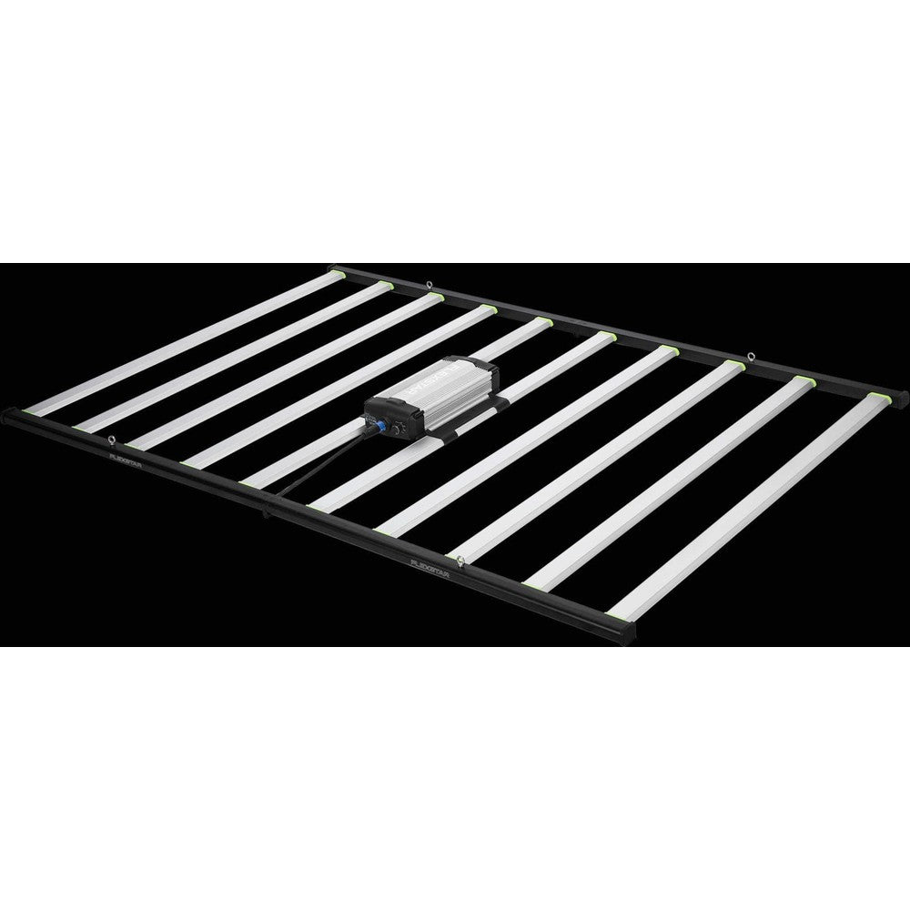 FLEXSTAR Pro - Black Label Supply llc