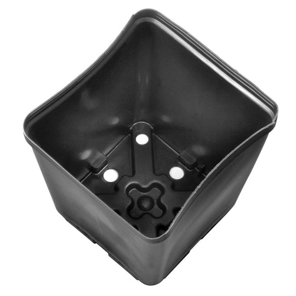 Gro Pro 5.5in x 5.5in x 6in Square Plastic Pot (200/CS)