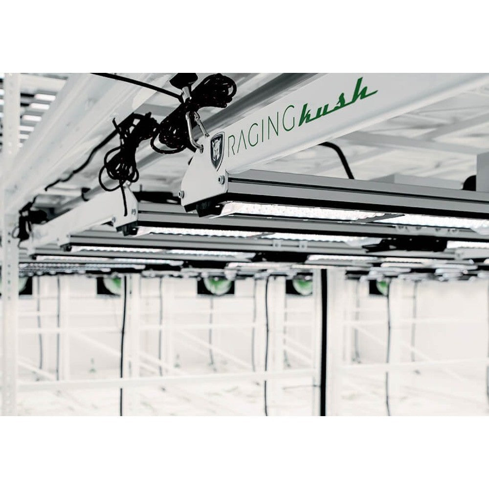 Scynce - Raging Kush II (70 degree optics) – LED - Bar Style