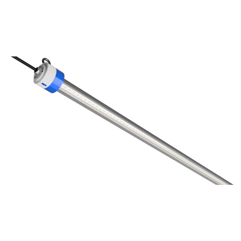 SpecGrade LED Illumina - 24 - Black Label Supply llc