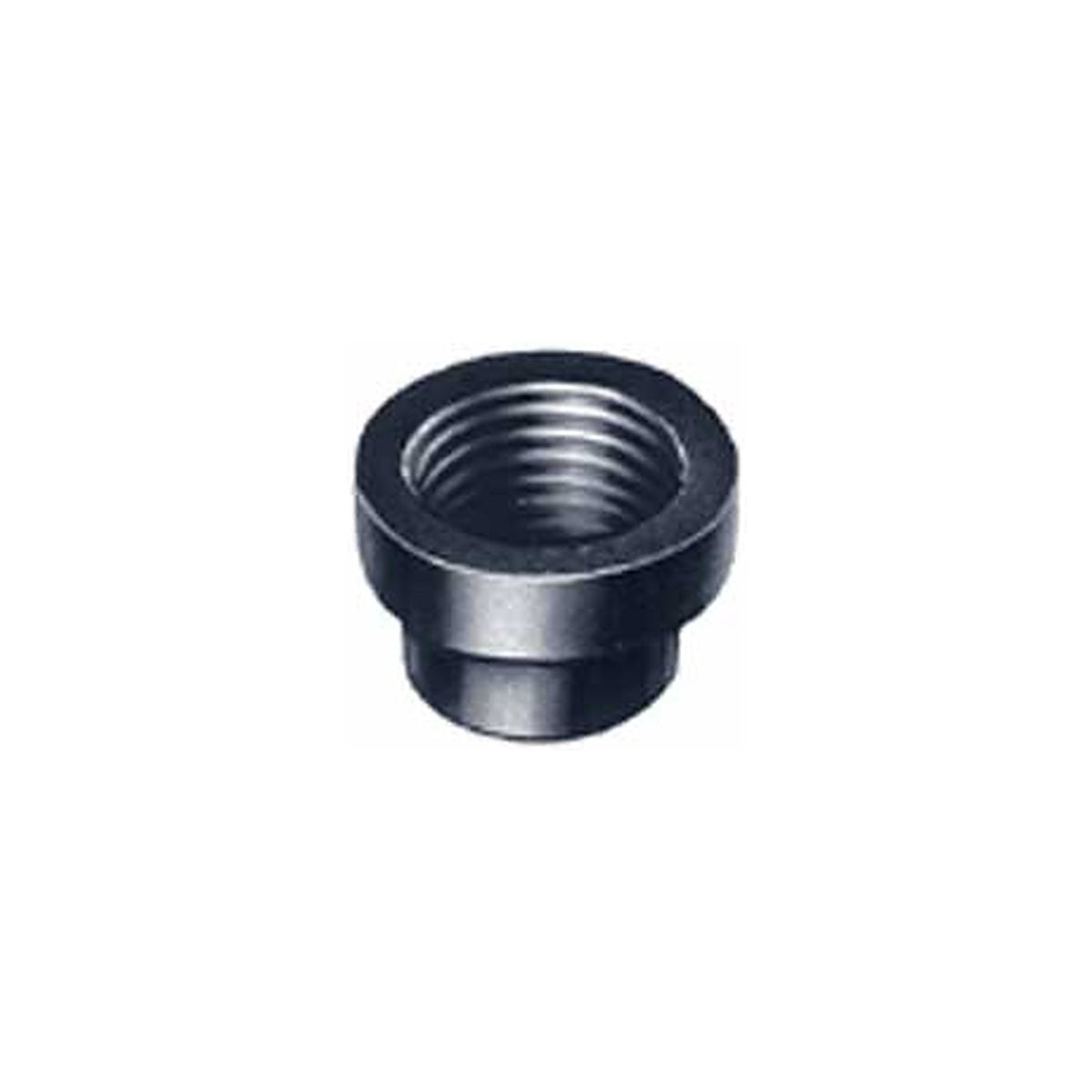 Dramm Assembly Insert 3/8 in Whitworth - AI