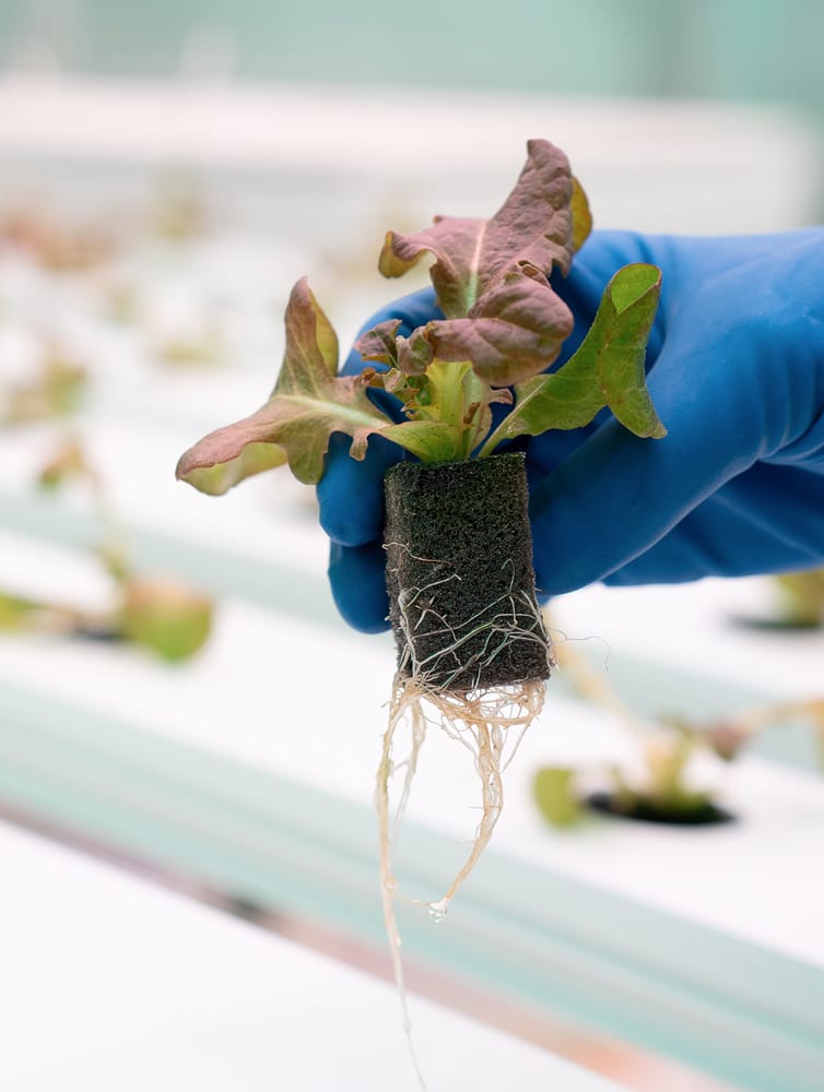 Oasis® AeroMax™ PlugSheet