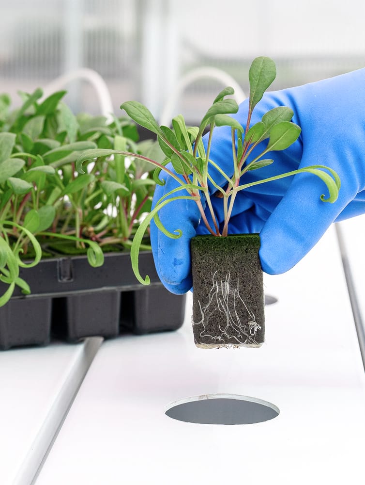 OASIS® AeroSelect™ PlugTray