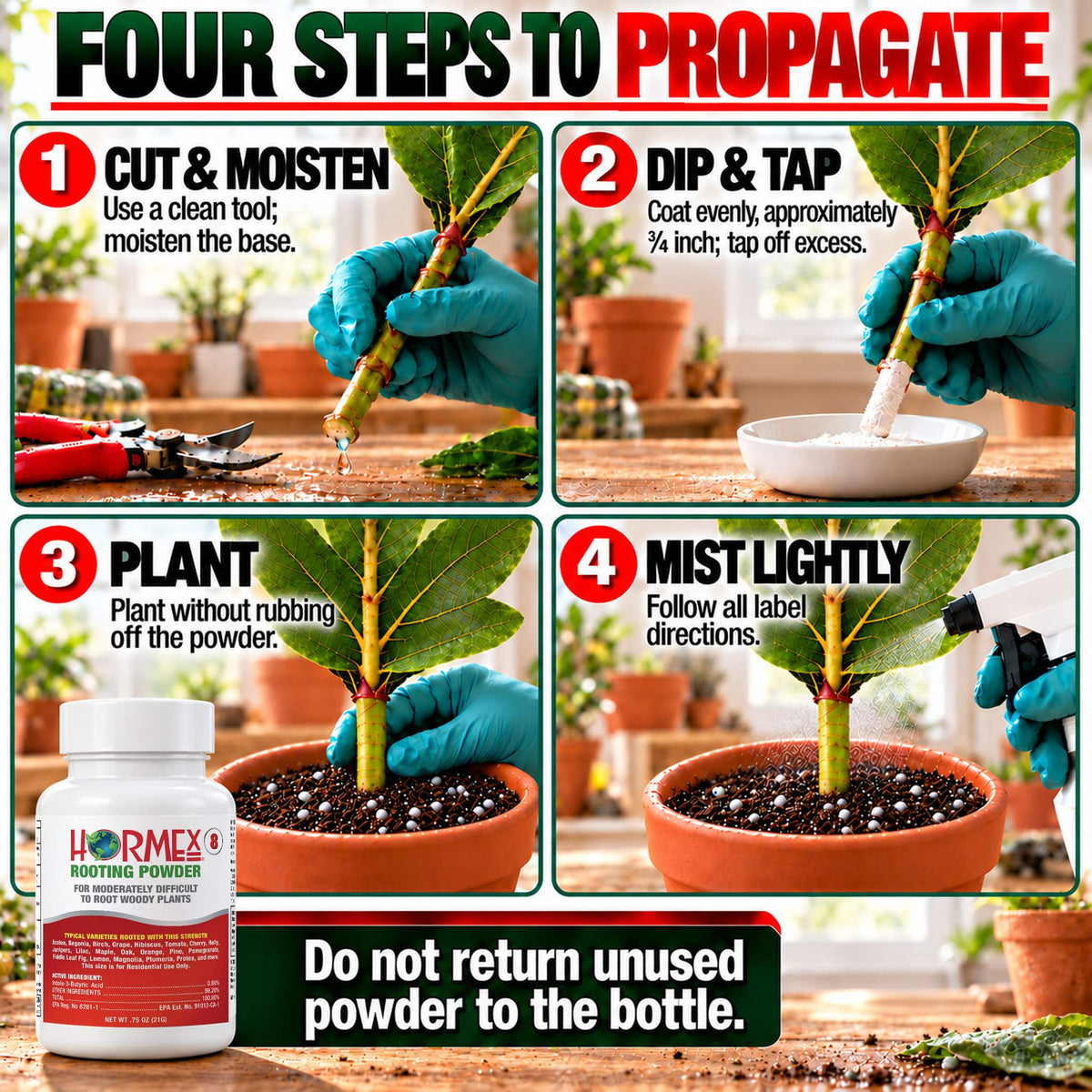 Hormex Rooting Powder #8 0.8% IBA - four steps to propagate cuttings