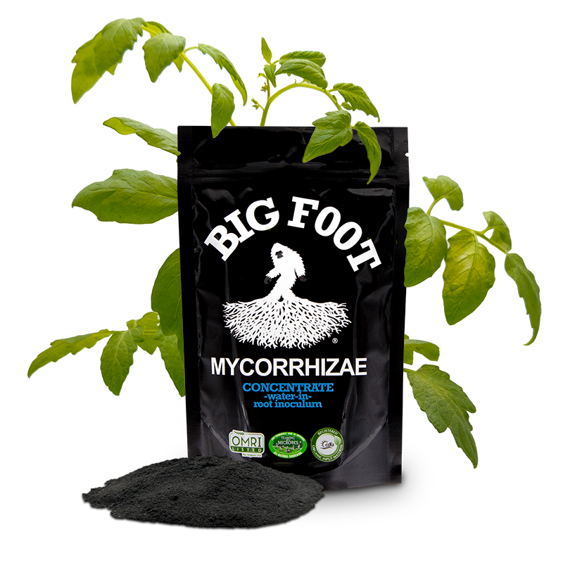 Big Foot 50lb Mycorrhizae Concentrate