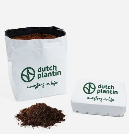Dutch Plantin Open Top Coco