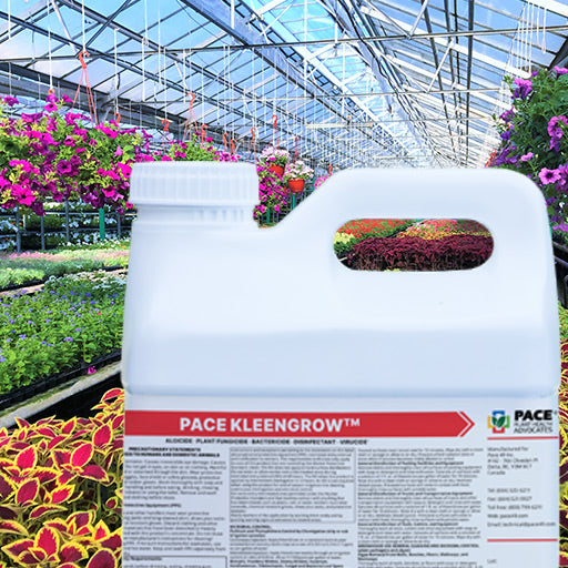 Pace 49 - KleenGrow Disinfectant Fungicide