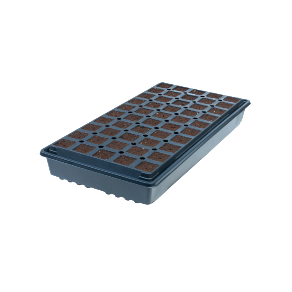 IHORT 50 Cell Deep Excel Plug Tray