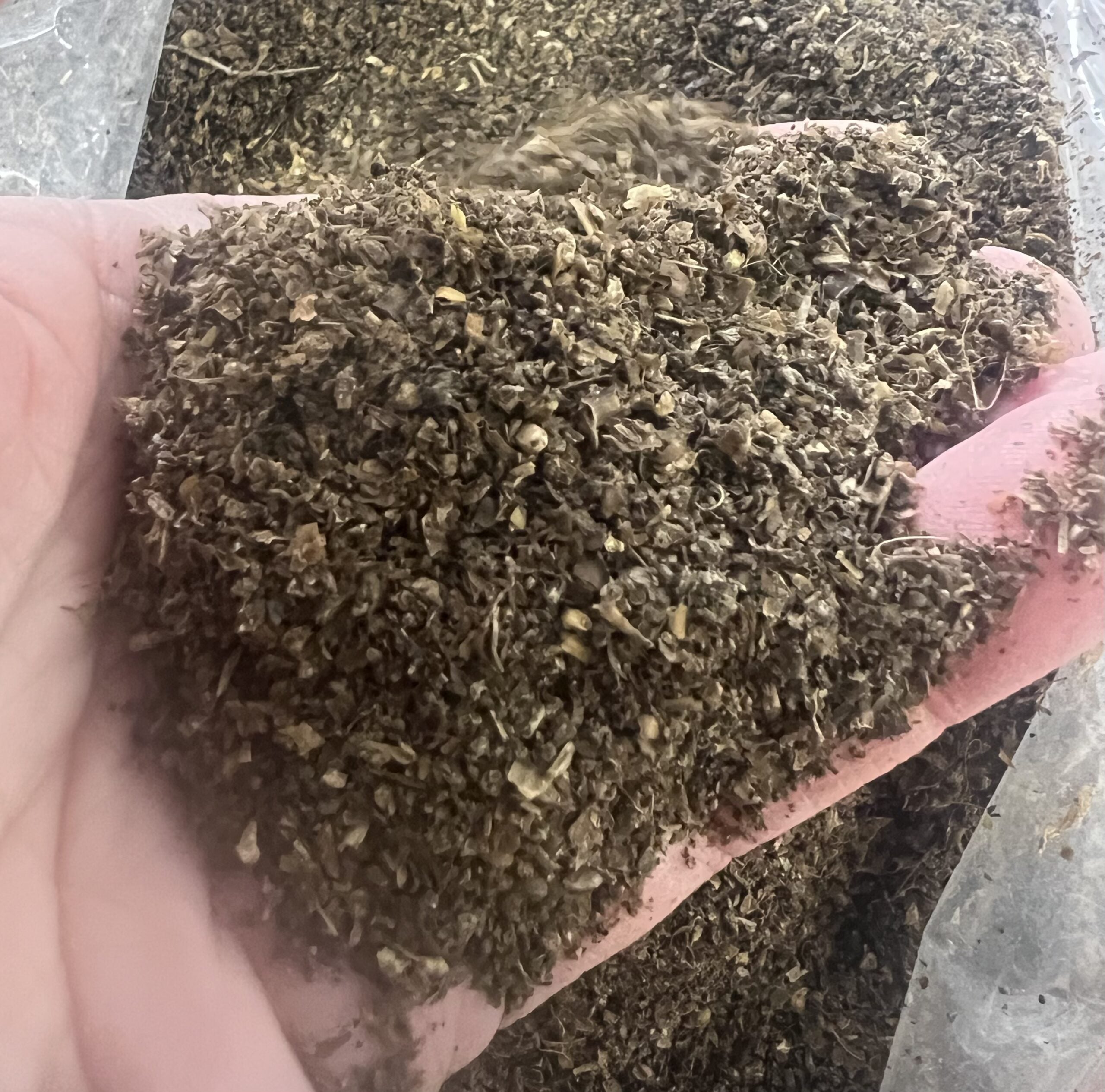 Premium Insect Frass - Black Soldier Fly- 25lb