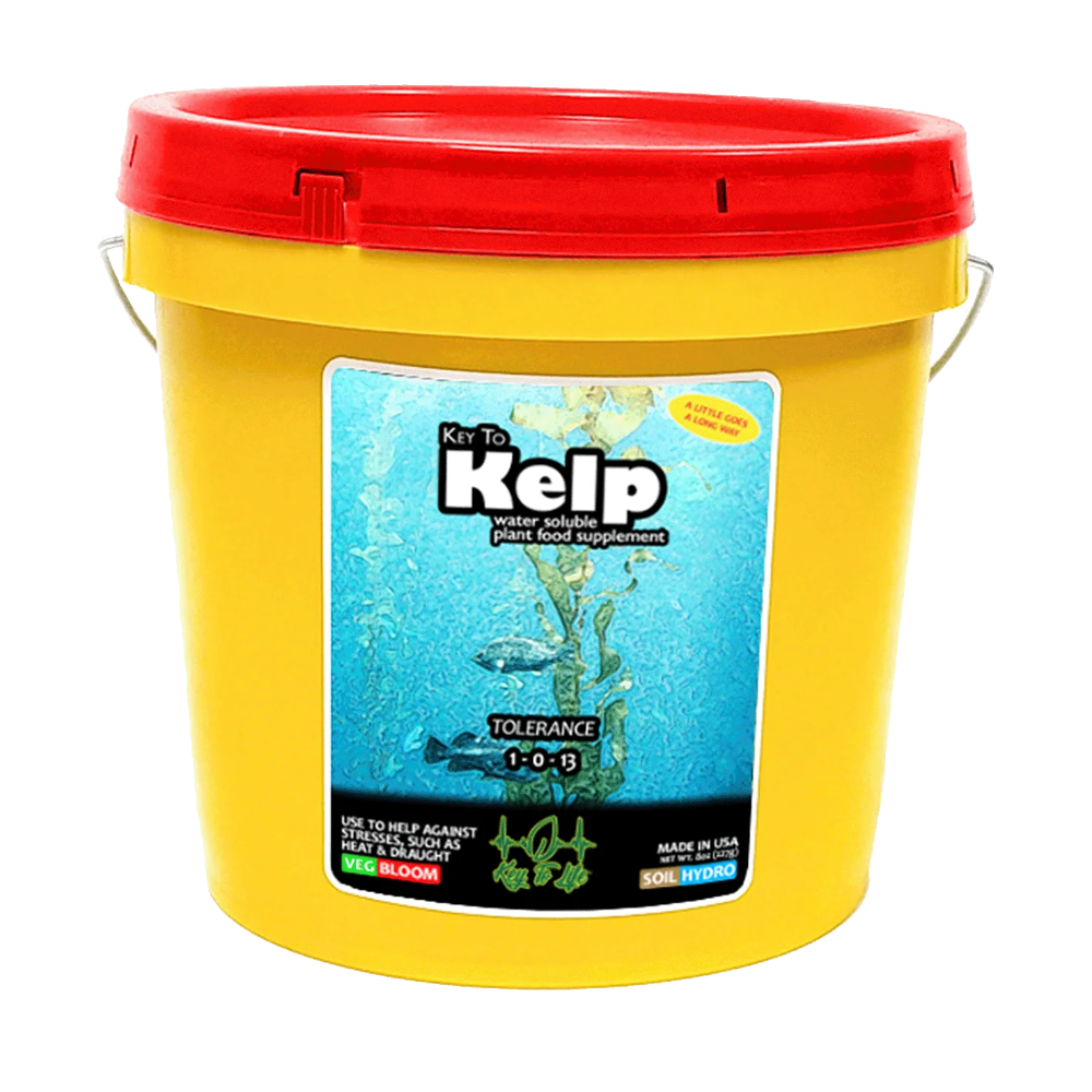 Key To Life - Kelp