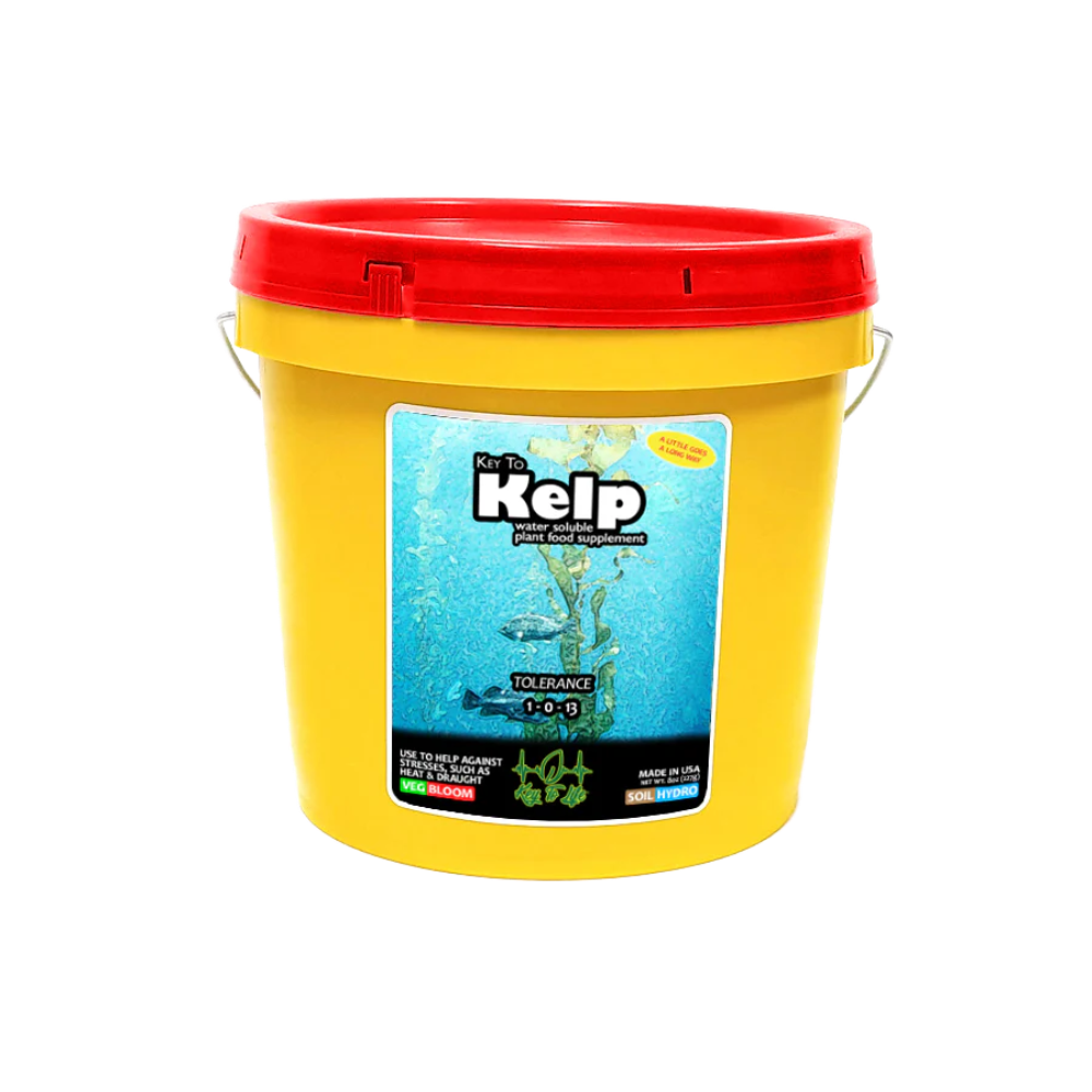 Key To Life - Kelp