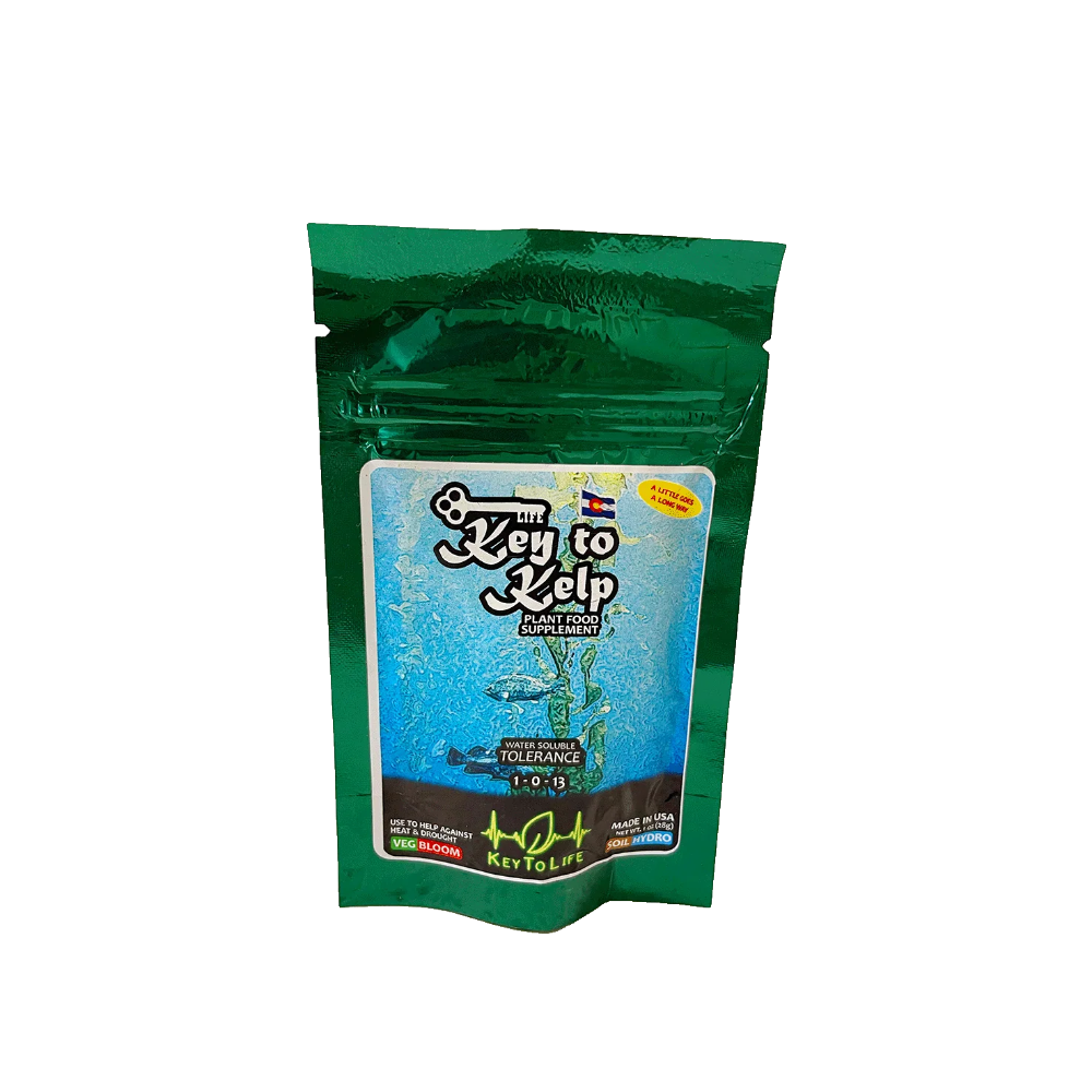 Key To Life - Kelp