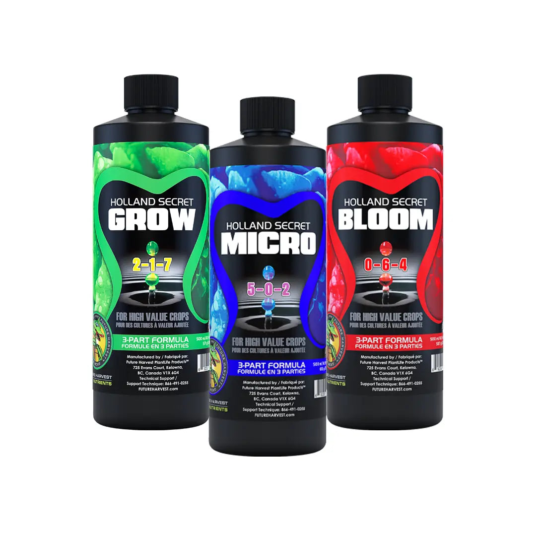 Future Harvest Holland Secret Three Pack