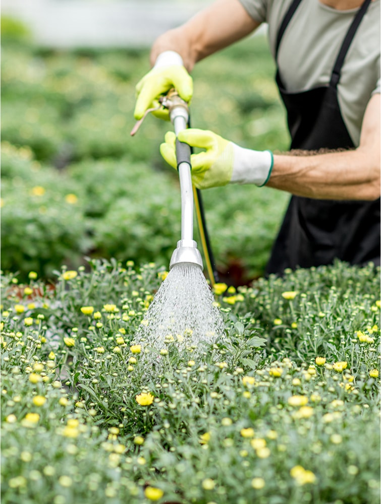 OASIS® SOAX® Liquid Wetting Agent