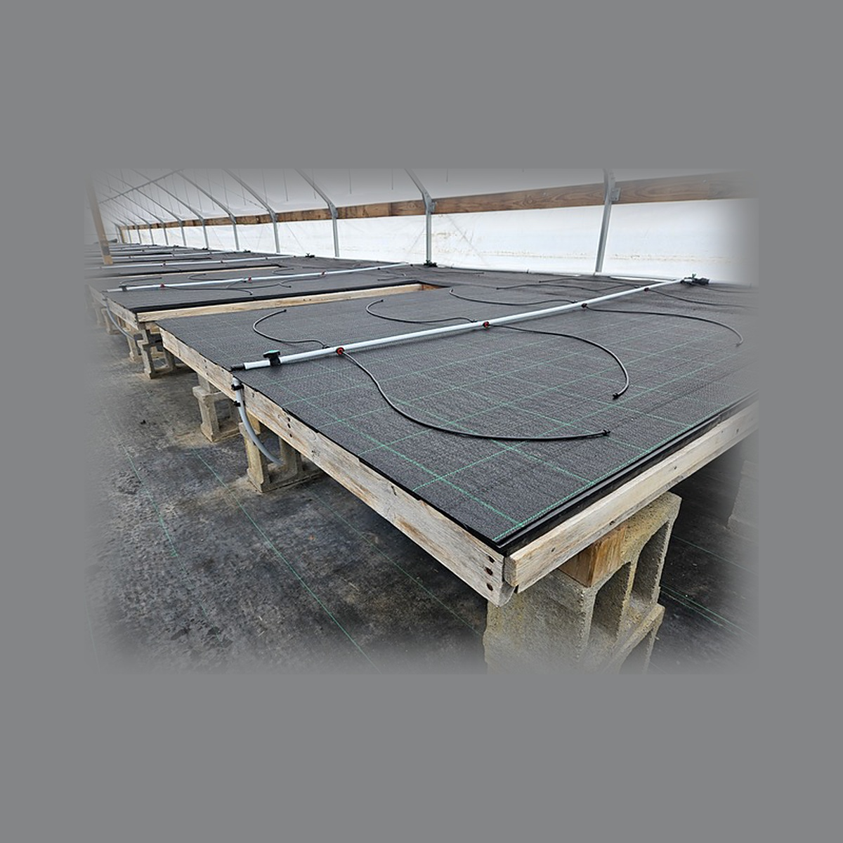 Dramm StrandPlus dual emitter drip assembly running the length of a capillary mat bench
