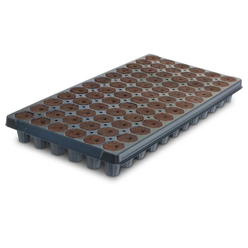 IHORT 72 Star Open Bottom Excel Plug Tray