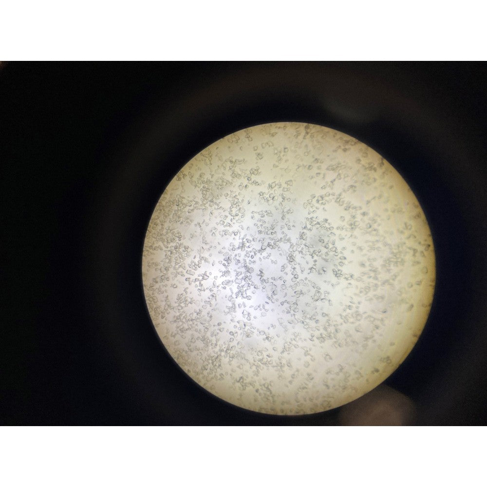 BVV™ 60A Silica Gel 40 - 63 Micron High Purity Extraction CRC Grade SiO2 - Black Label Supply llc