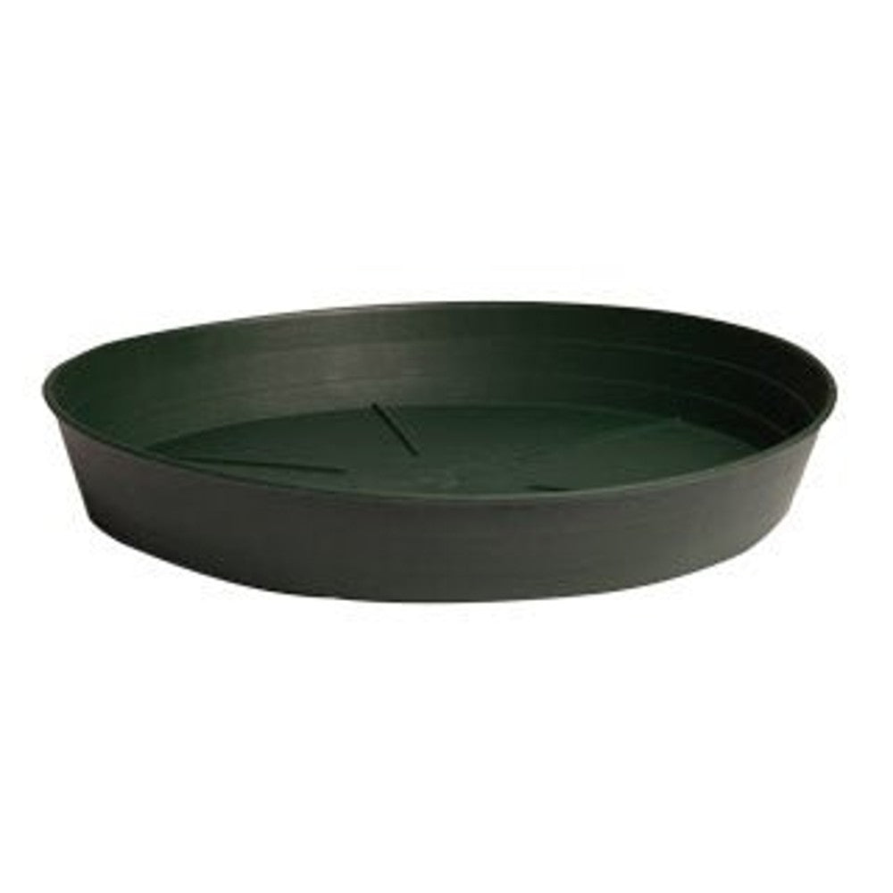 Green Premium Saucers - Black Label Supply llc