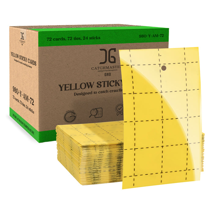 Sticky Cards Yellow