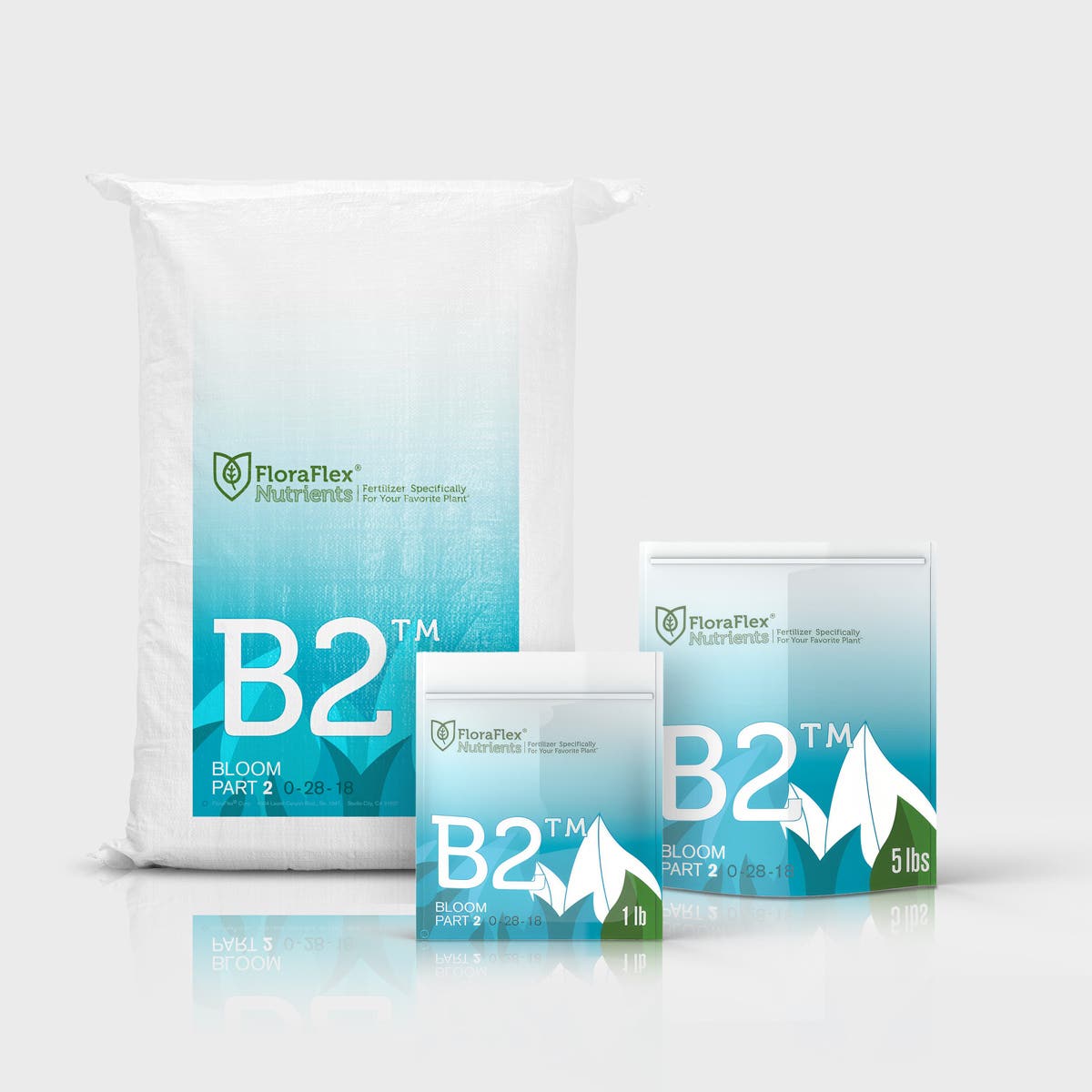 FloraFlex - Nutrients - B2