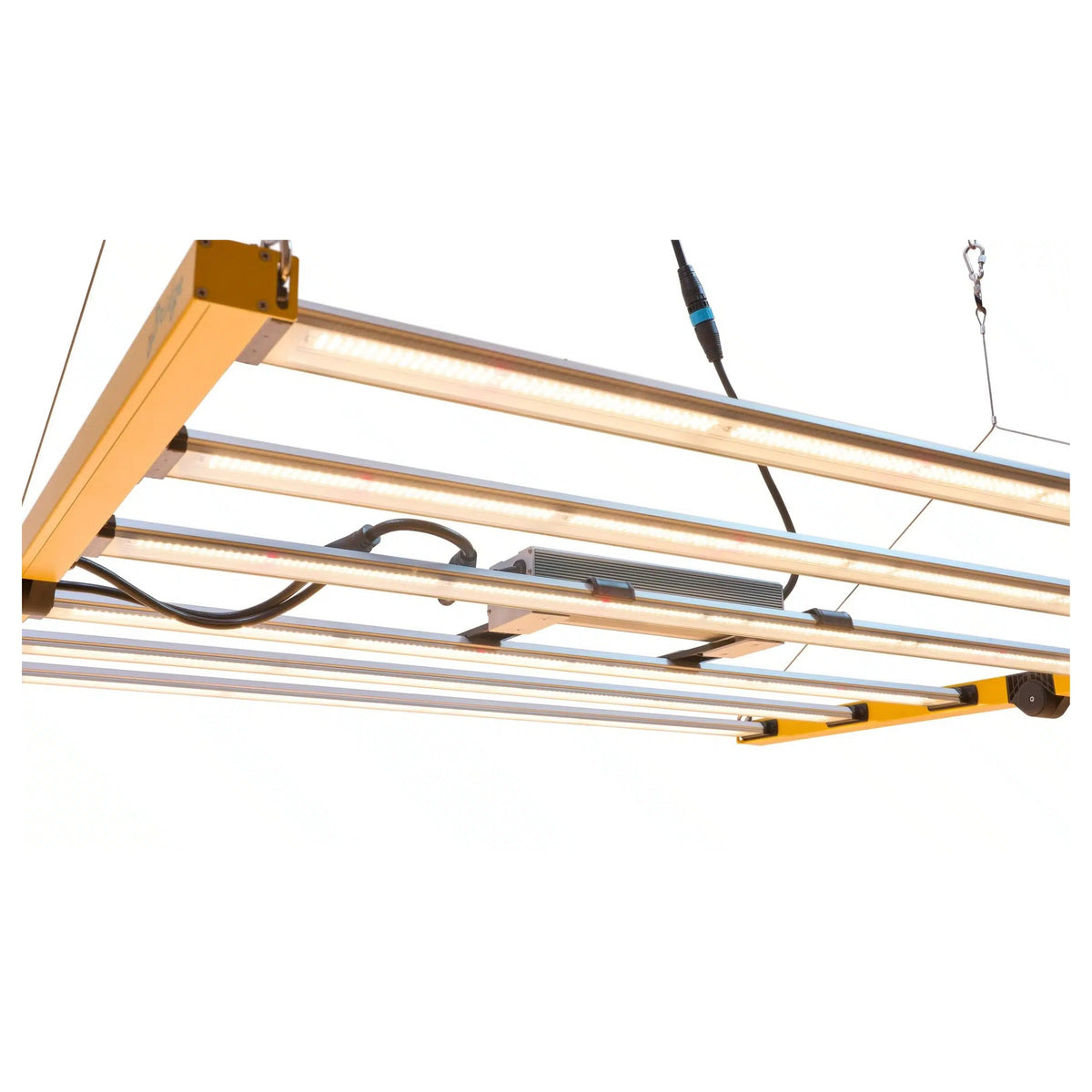 BIOS The Bridge LED grow light fixture, six bar top light