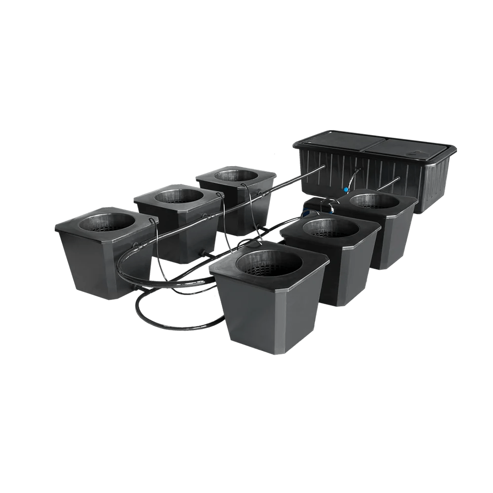 BUBBLEFLOW DWC SYSTEMS - Black Label Supply llc