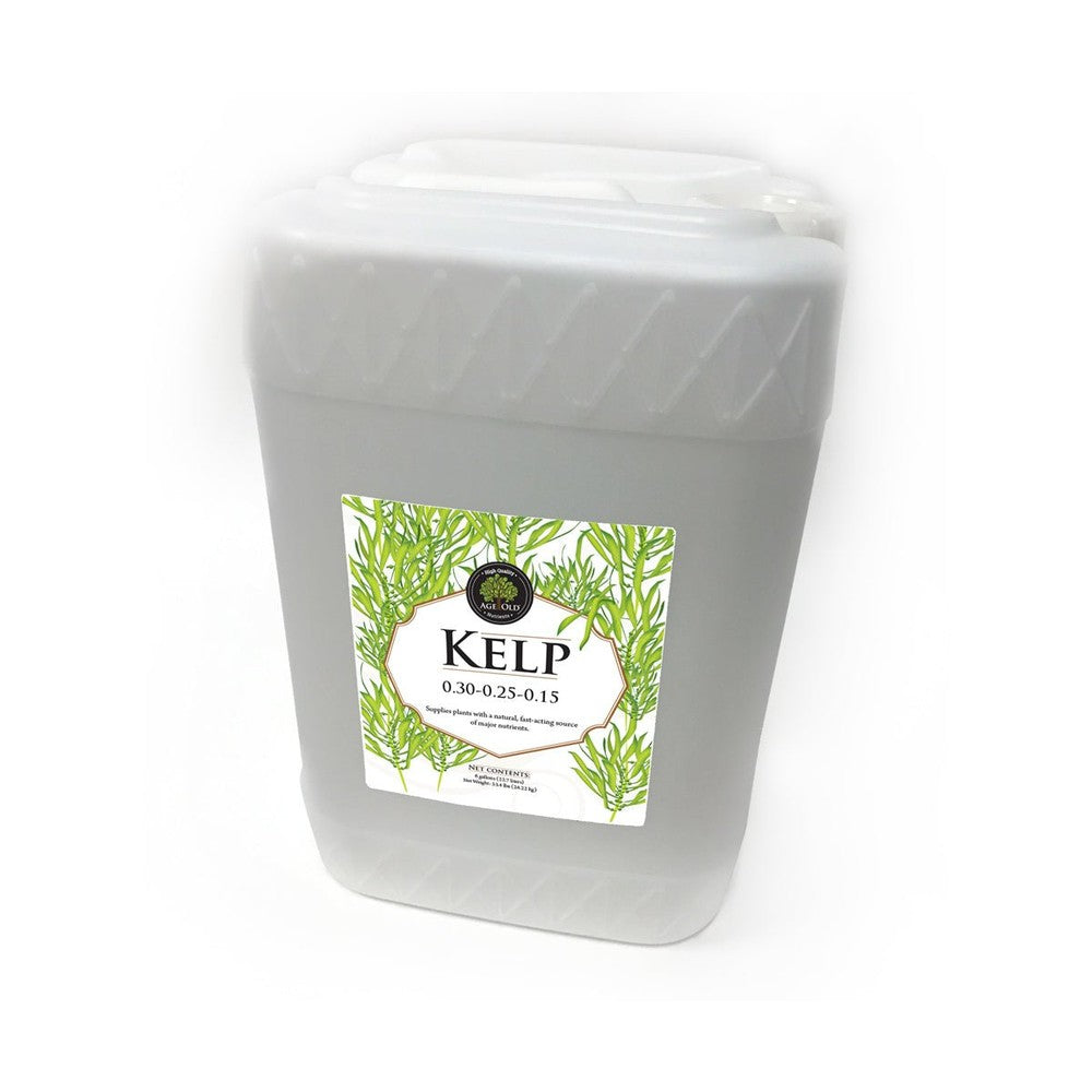 Age Old Kelp - Black Label Supply llc