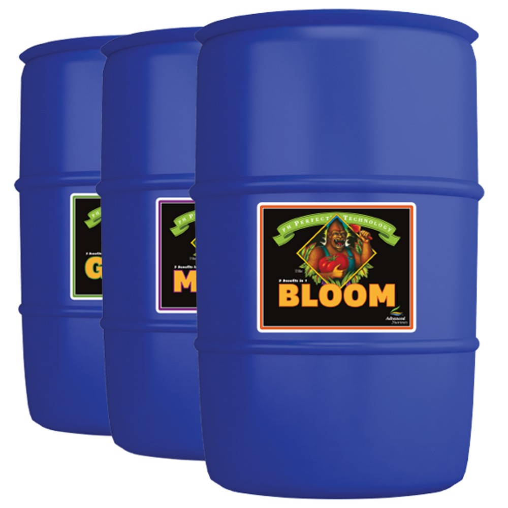 ph Perfect® Bloom – 208 L – Liquid